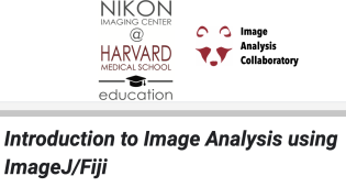 Introduction to Image Analysis using ImageJ/Fiji