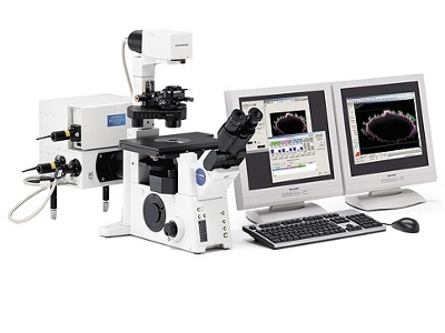 FV1000 Confocal Microscope olympus