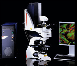 leica, SPE, confocal, spectral, imaging