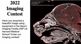 Imaging Contest 2022