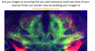 Imaging Contest 2023