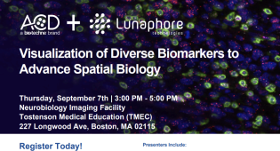 Visualization of Diverse Biomarkers to Advance Spatial Biology