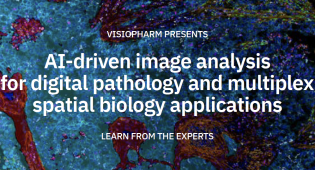 AI-driven image analysis for digital pathology & multiplex spatial biology applications