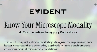Comparative Imaging Workshop Flyer