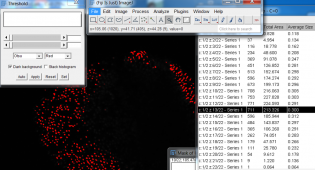 Fiji, imageJ, image j, seminar, neurobiology iamging facility, NIF