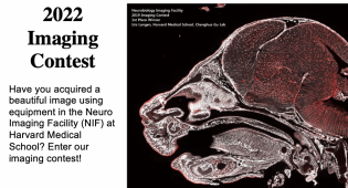 Imaging Contest 2022