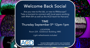 welcome back social