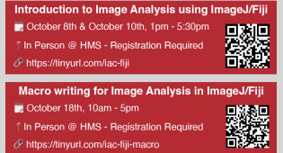 image analysis workshops