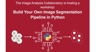 Build Your Own Image Segmentation Pipeline in Python